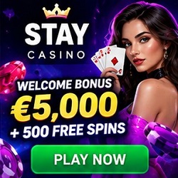 stay casino